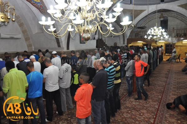 kaber yaffa js (12).JPG